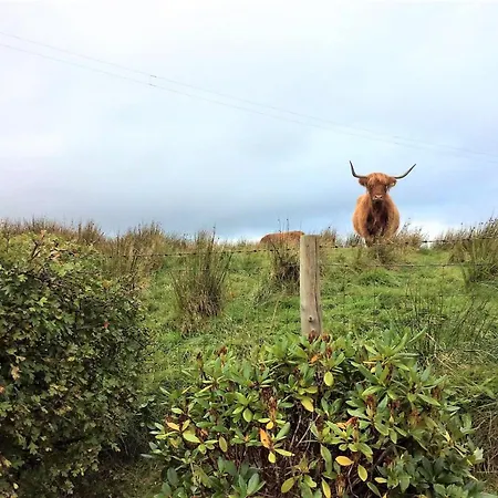 2 Bed In Newbiggin-On-Lune Sz478 בית נופש *